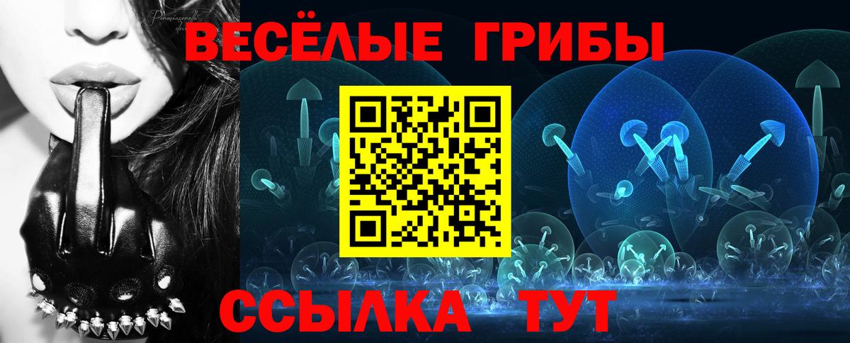 купить   Вход с VPN  Калининград  Псилоцибиновые грибы Magic Shrooms 